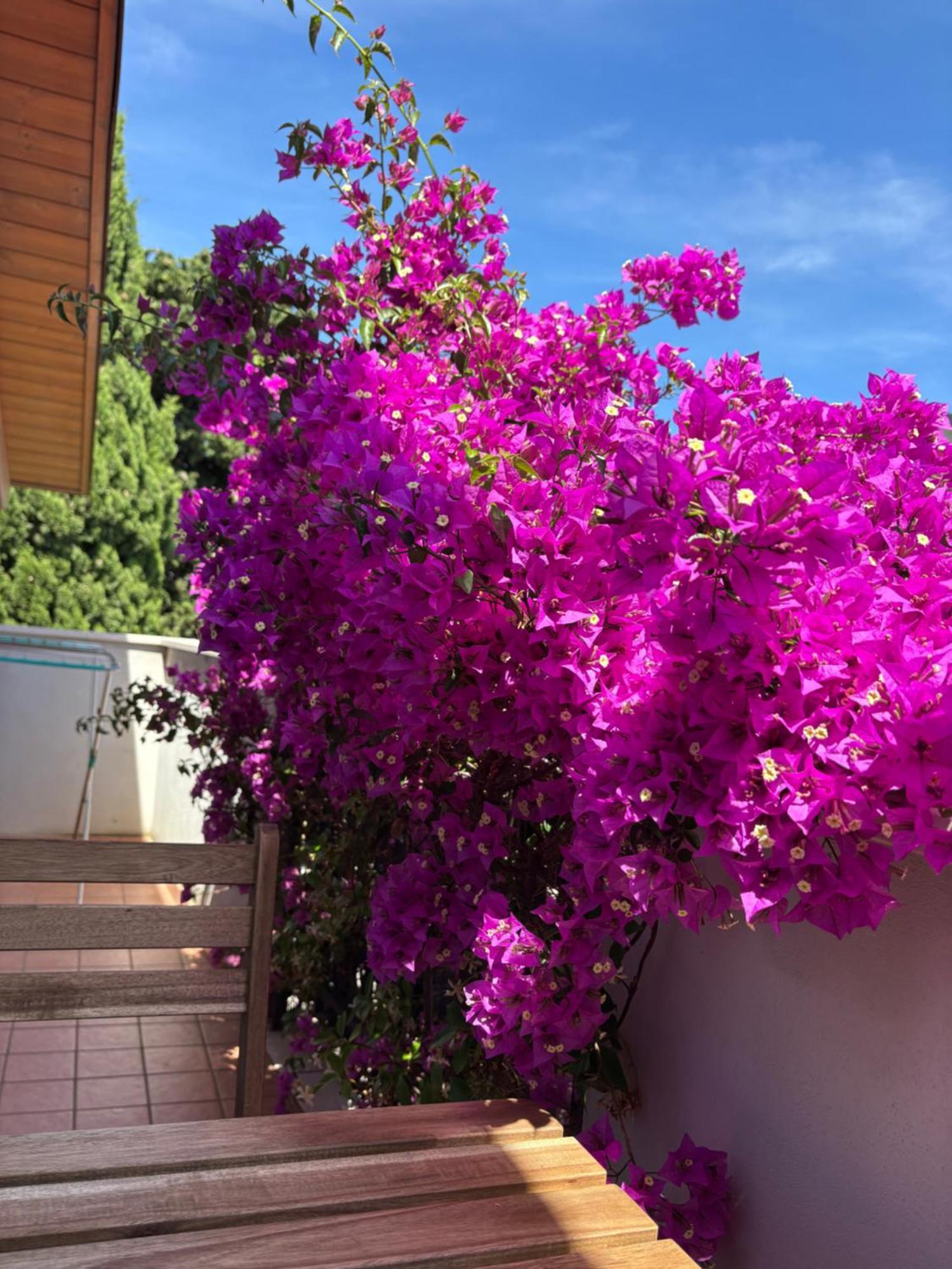 B&B Carlotta Montesilvano Marina Dış mekan fotoğraf